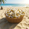 SunKiss Sunscreen SPF 60 PA +++